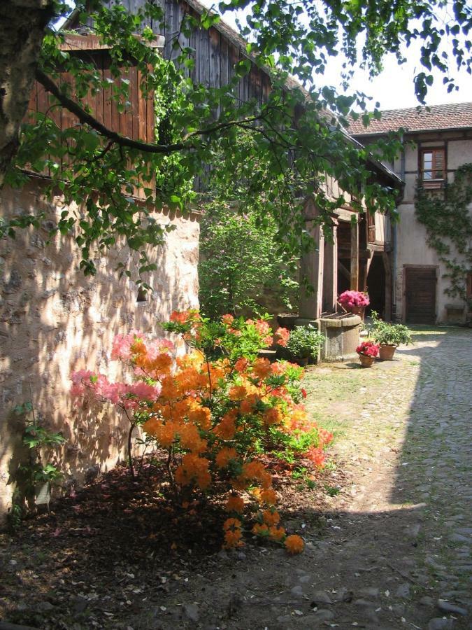 Les Hortensias Riquewihr Exterior photo