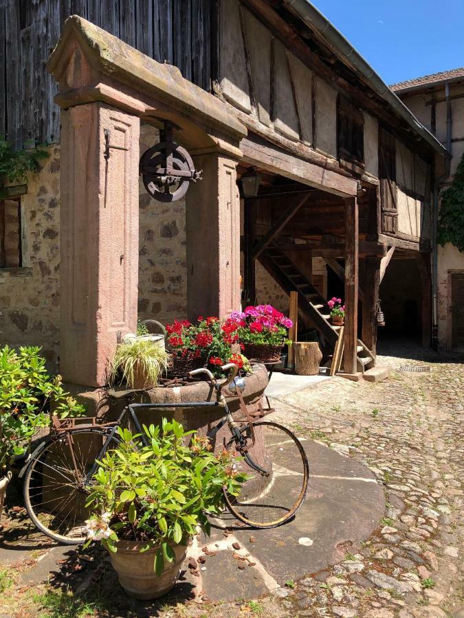 Les Hortensias Riquewihr Exterior photo